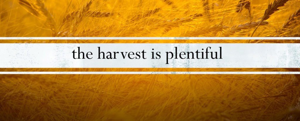 16_harvest